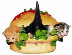 ����� ������ �� �������� � ����� 